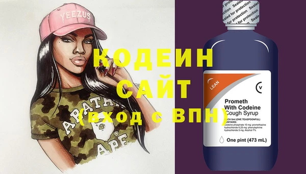 хмурый Верея