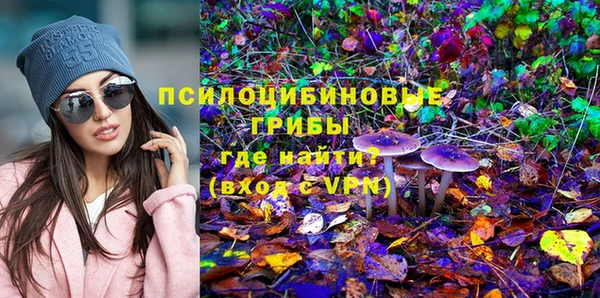 молекула духа Волоколамск