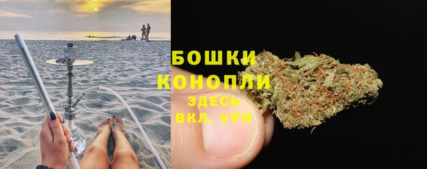 дурь Бородино