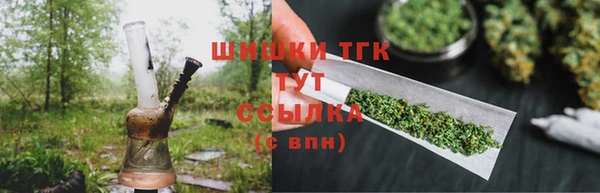 хмурый Верея