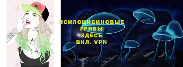хмурый Бронницы
