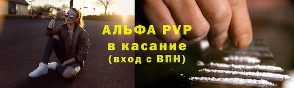 хмурый Верея
