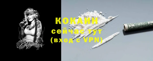 хмурый Верея