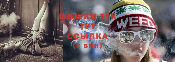 молекула духа Волоколамск