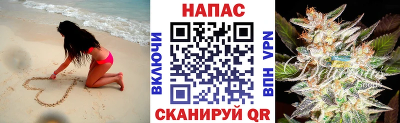 как найти закладки  Вольск  Шишки марихуана LSD WEED 